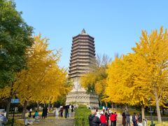 -玲珑塔公园