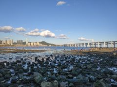 -黑石礁公园