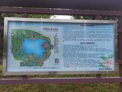 -莲花池公园
