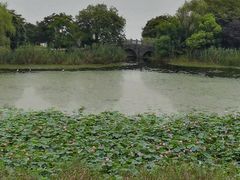 -上海市保健医疗中心