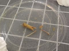 -老妈米线(港龙店)