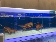 -盒马鲜生(联投广场店)
