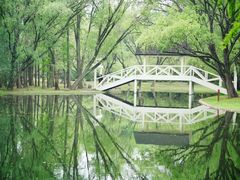 -上海共青森林公园