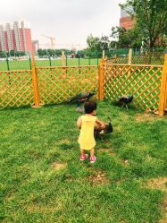 -萌宠亲子动物乐园(槐房万达店)