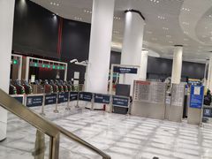 -望京西(地铁站)