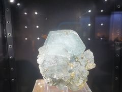 -中国地质大学逸夫博物馆
