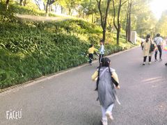 -重庆彩云湖湿地公园