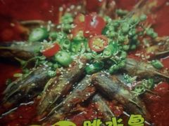 -汉江公园