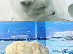 -哈尔滨极地公园