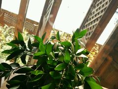 -慢丽江·云南野生菌土鸡锅(付家庄店)