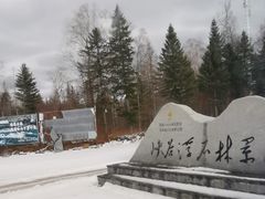 -峡谷浮石林景区