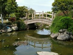 -花溪公园