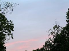 -云碧峰国家森林公园