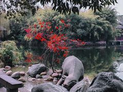 -棠湖公园