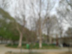 -石家庄市植物园