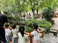 -成都市活水公园