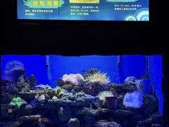 -左海海底世界