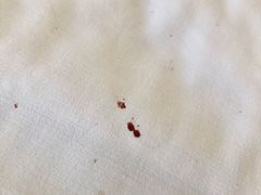 -上海安亭别墅花园酒店