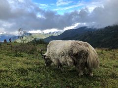 -硗碛藏寨·神木垒景区