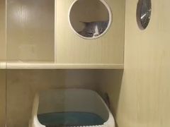 -宠物之家Pets Home 宠物寄养酒店