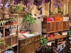 -叶叶菩提(太原别墅店)