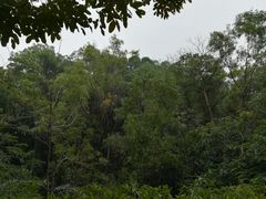 -火炉山森林公园