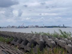 -上海滨江森林公园
