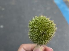 -南京金牛湖风景区