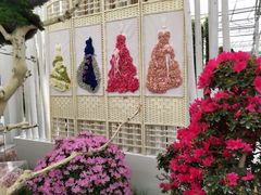 -上海鲜花港