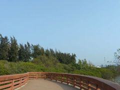 -宝安西湾红树林湿地公园