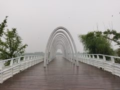 -大兴滨河森林公园