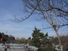 -白马涧龙池景区
