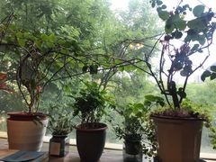 景观位-云之南(八里庄店)