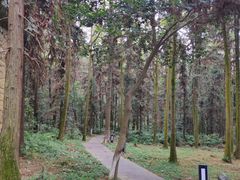 -象山森林公园
