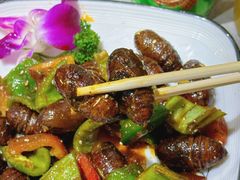 -鹤之乡·齐齐哈尔东北炭火烤肉(昆明盈江路店)