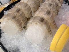 瀨尿蝦刺身-嘉升大排档(番禺总店)