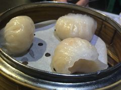 -糖朝(尖沙咀店)