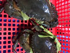 -幸福姐海鲜大排档