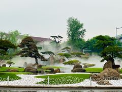 -罗红摄影艺术馆