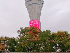 -合肥新桥国际机场-航站楼