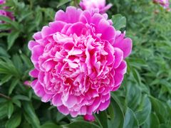 -长春公园(普阳街道)