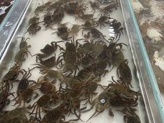 -阔澜蒸汽海鲜自助