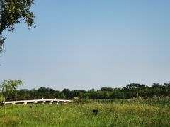 -西青郊野公园