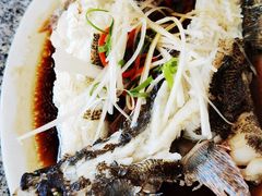 -阿清嫂农家乐.黎窑烤鸡