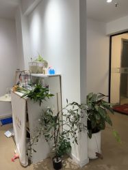 点击看大图 -染墨儿童摄影(转塘店)