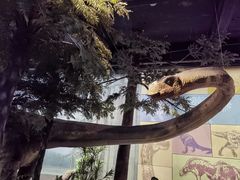 -浙江自然博物院(杭州馆)