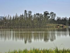 -白鹭湾湿地公园