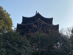 -杭州半山国家森林公园