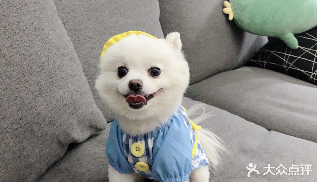 带帽子的小可爱