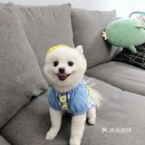 带帽子的小可爱